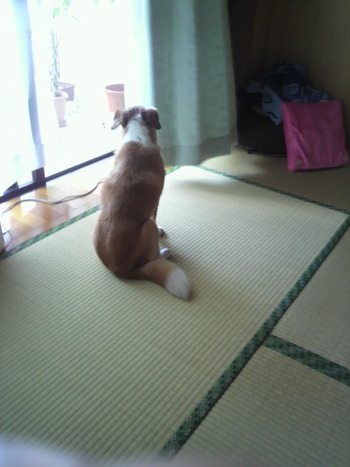 背中に哀愁？？