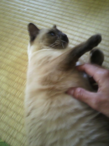 今年も有難うございました❤