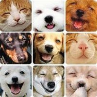おもしろ画像