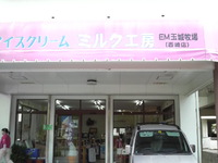 EMアイス