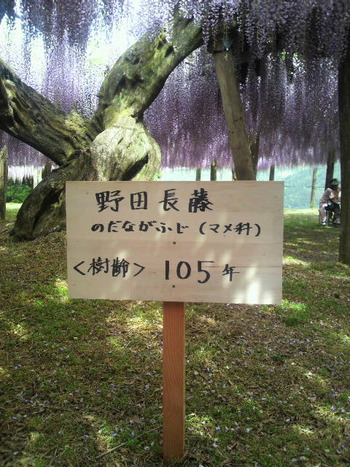 この世のものとは言え・・・