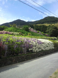 この世のものとは言え・・・ 2011/05/25 21:16:34
