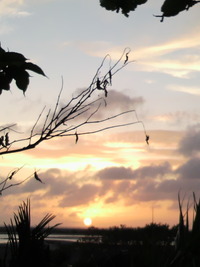 今日の夕日