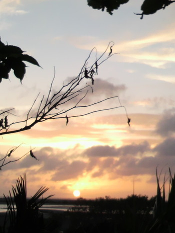 今日の夕日