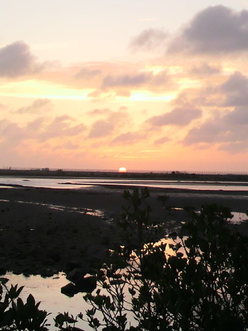 今日の夕日