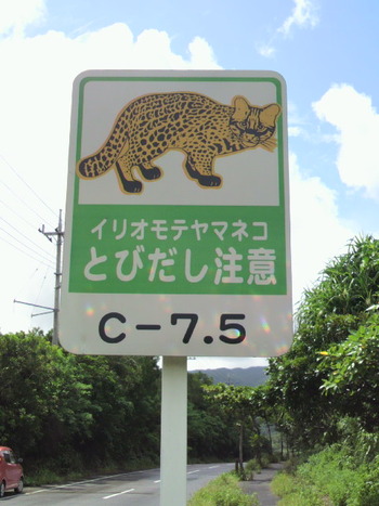 西表４