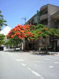 台風９号は・・・ 2011/08/03 12:29:09