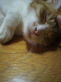 何だかな～ 2012/02/22 00:04:05