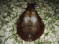 Going My Way 2010/12/28 02:05:29