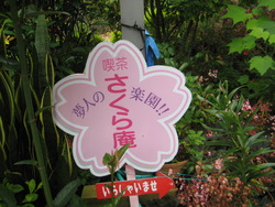 再会。。。