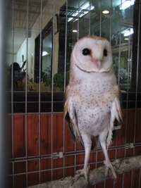 ミニミニ動物園