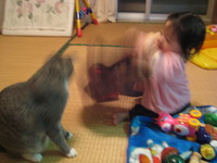 お食事会