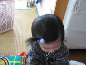 カンプー