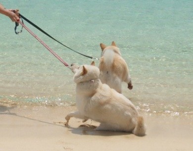 休日出勤。。。。気持は