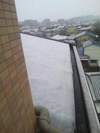 2010年12月16日