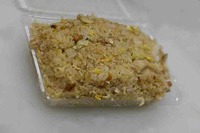 辺野古散策