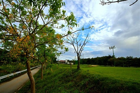 夏本番