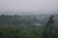 毎日が雨 2011/06/02 17:04:37