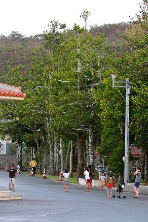 夏祭り