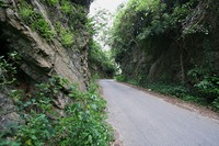 戻り道 2011/05/02 08:29:11