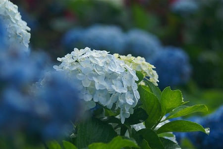 梅雨明け