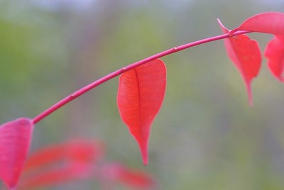嵐山展望台