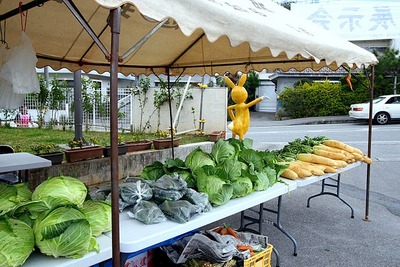 辺野古総合展示会