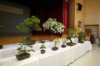 辺野古総合展示会
