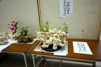 おめでとう！