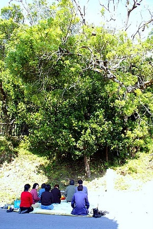 辺野古のカーメー