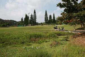 ゴルフ場巡り