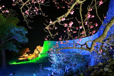 桜まつり