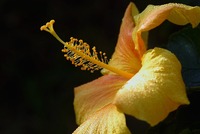 April 2011/04/05 09:42:25