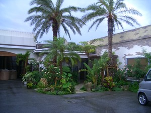 ウインズ