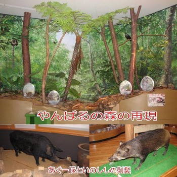 羽地ダムから