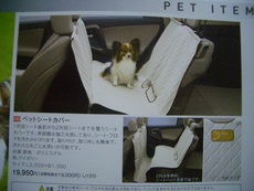 トヨタ初