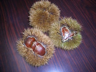 ｲﾍﾞﾝﾄ準備
