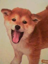 てすと投稿 2013/03/28 07:02:30