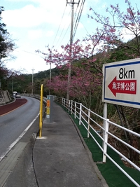 キャンプＩＮ 2014/01/31 12:00:00