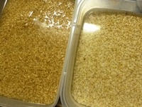 発芽玄米を作る 2013/04/12 08:12:55