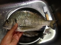 食べ物の神様がっ！ 2013/02/13 22:43:34