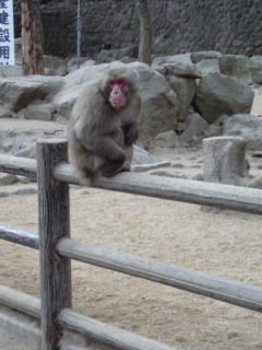 高崎自然動物公園