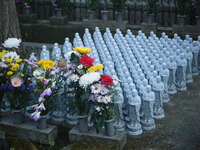 沖縄人のルーツ　港川人 2011/03/23 22:14:05