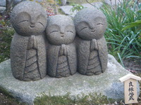 非常に残念 2011/10/23 08:54:48