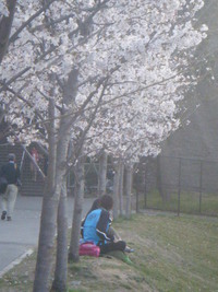 ＣＴ 2012/02/13 21:36:16