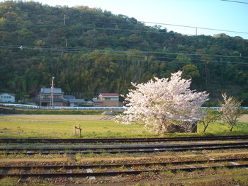 Ｇo!白浜
