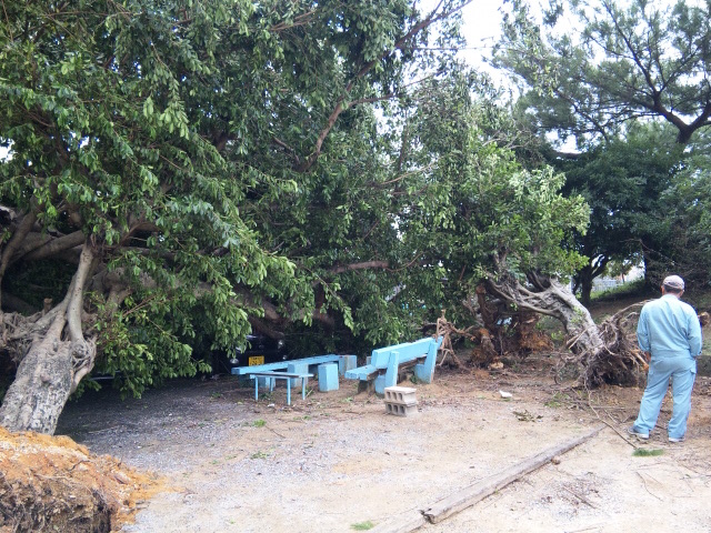 台風５号発生