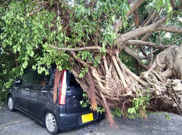 台風５号発生