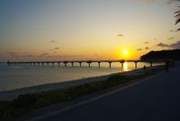 2010年　明けましておめでとうございます