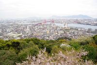 時期遅れの春・・・か